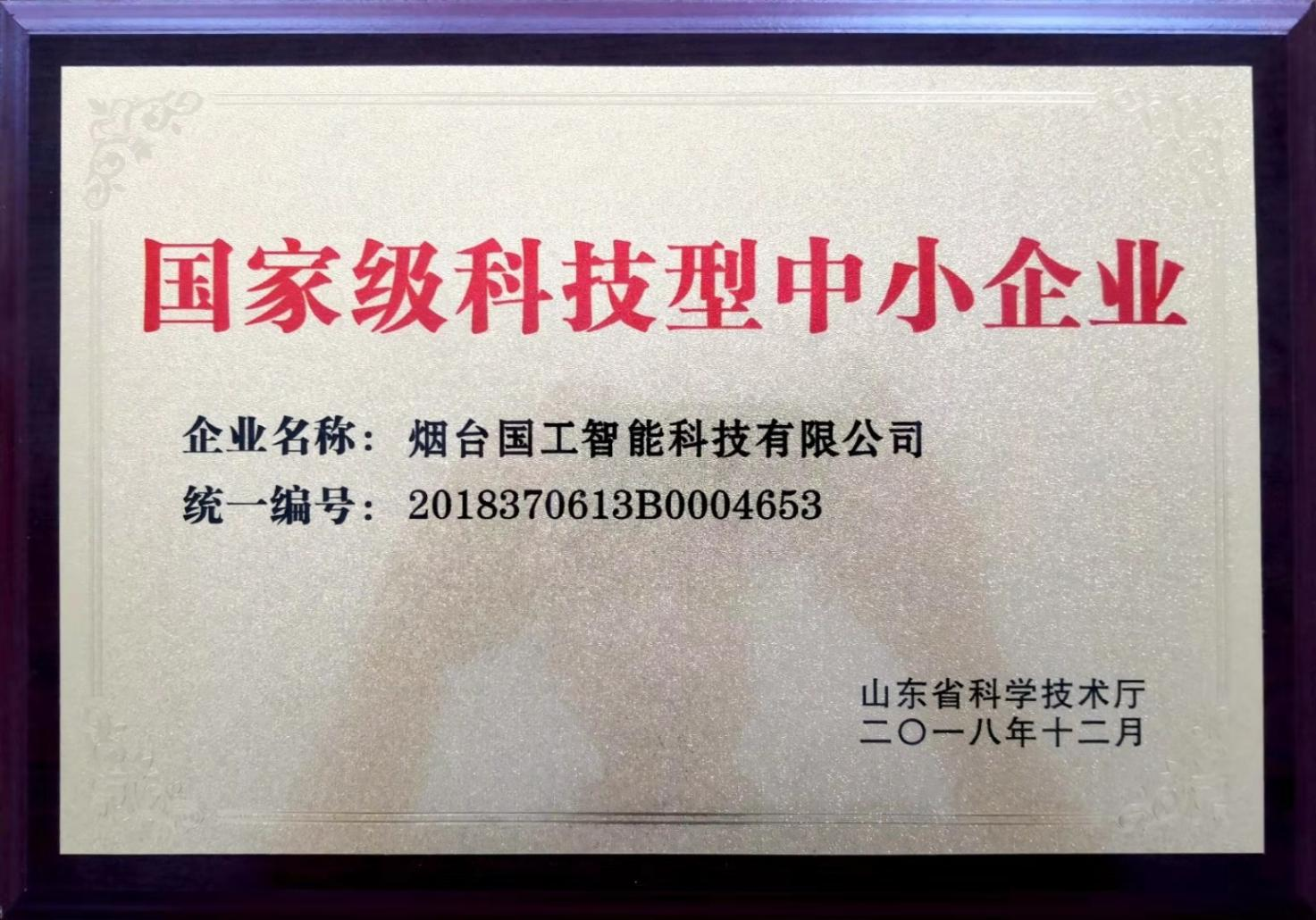 國家級科技型中小企業